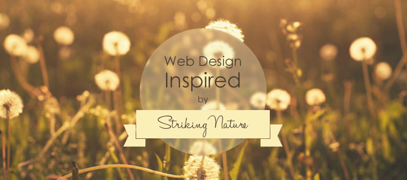 Web designs inspired by striking nature