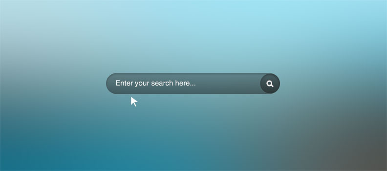 Don’t let the Visitors Search for Your Search Box