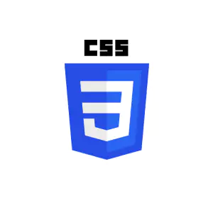 css3 icon